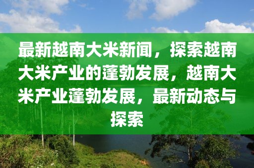 最新越南大米新闻，探索越南大米产业的蓬勃发展，越南大米产业蓬勃发展，最新动态与探索