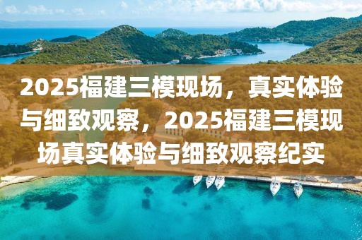 2025福建三模现场，真实体验与细致观察，2025福建三模现场真实体验与细致观察纪实