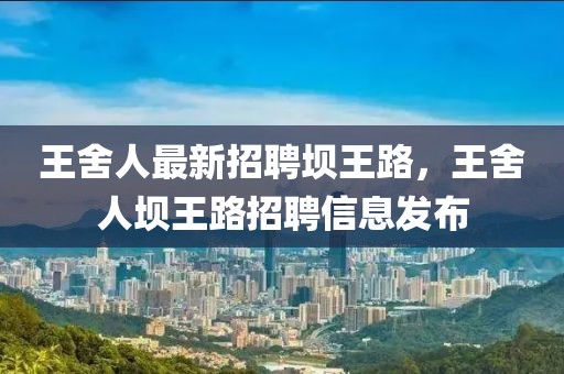 贵宾休息室最新消息视频，贵宾休息室最新动态概览：设计理念革新、技术应用与用户体验反馈