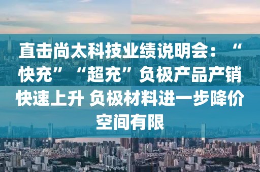 直击尚太科技业绩说明会：“快充”“超充”负极产品产销快速上升 负极材料进一步降价空间有限