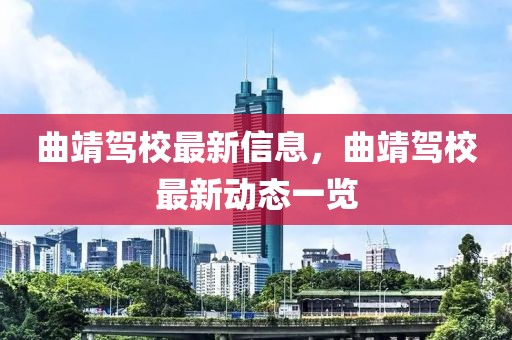 2025年大亚湾壳牌，大亚湾壳牌，展望未来的能源合作之路（2025年）