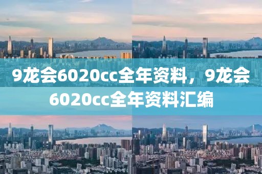 9龙会6020cc全年资料，9龙会6020cc全年资料汇编