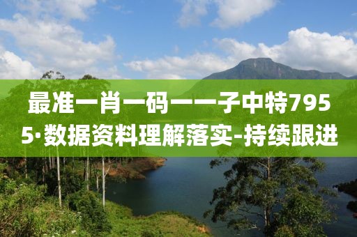 最准一肖一码一一子中特7955·数据资料理解落实-持续跟进