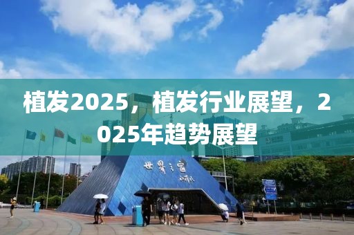 植发2025，植发行业展望，2025年趋势展望