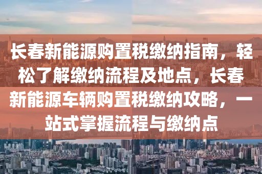 信息安全事故最新，信息安全事故最新动态分析及应对策略指南