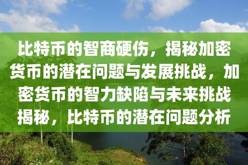 比特币的智商硬伤，揭秘加密货币的潜在问题与发展挑战，加密货币的智力缺陷与未来挑战揭秘，比特币的潜在问题分析