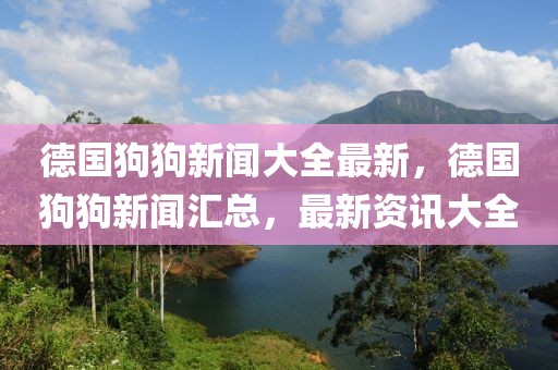 德国狗狗新闻大全最新，德国狗狗新闻汇总，最新资讯大全