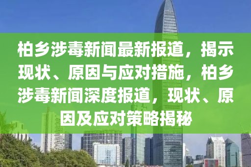 柏乡涉毒新闻最新报道，揭示现状、原因与应对措施，柏乡涉毒新闻深度报道，现状、原因及应对策略揭秘