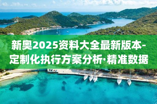 新奥2025资料大全最新版本-定制化执行方案分析·精准数据