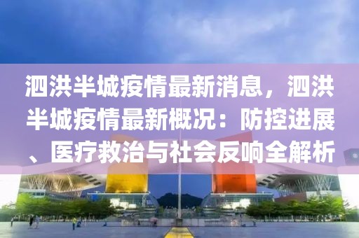 泗洪半城疫情最新消息，泗洪半城疫情最新概况：防控进展、医疗救治与社会反响全解析