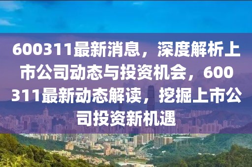 600311最新消息，深度解析上市公司动态与投资机会，600311最新动态解读，挖掘上市公司投资新机遇