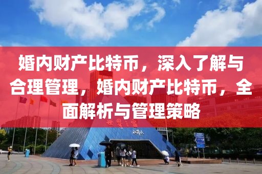 婚内财产比特币，深入了解与合理管理，婚内财产比特币，全面解析与管理策略