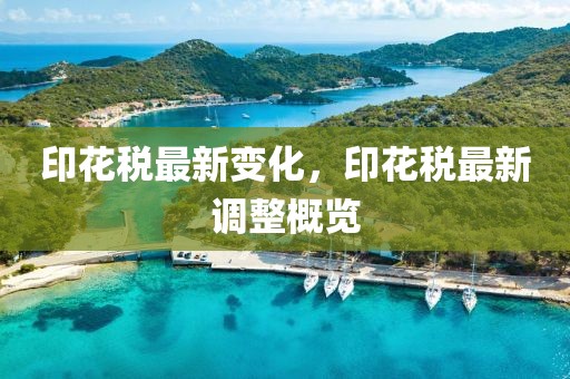 雷州市白沙疫情最新消息，雷州市白沙地区疫情最新情况概述