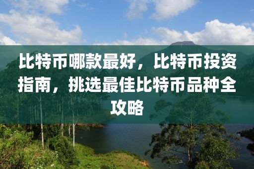 比特币哪款最好，比特币投资指南，挑选最佳比特币品种全攻略