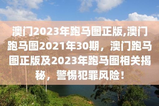 伊朗皮革品牌排行榜最新，伊朗顶级皮革品牌排行榜及行业展望