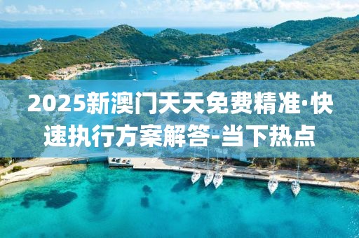 2025新澳门天天免费精准·快速执行方案解答-当下热点