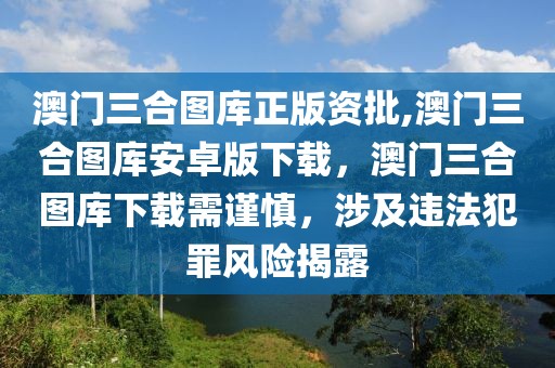 中央币最新动态，政策解读与市场展望，中央币最新动向解析，政策洞察与市场前景展望