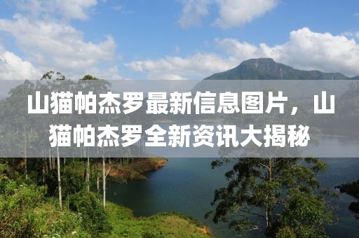 2025年锦鲤特岗网课全攻略，轻松备考，一跃成鲤，2025年锦鲤特岗教师备考攻略，轻松一跃，成为上岸锦鲤