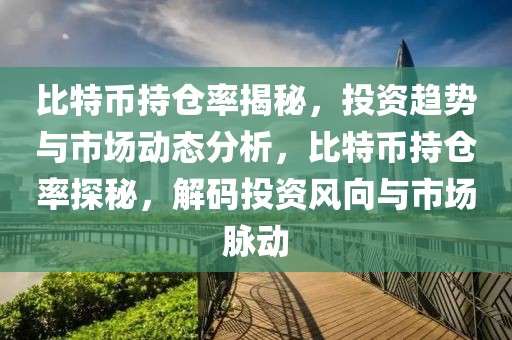 比特币持仓率揭秘，投资趋势与市场动态分析，比特币持仓率探秘，解码投资风向与市场脉动