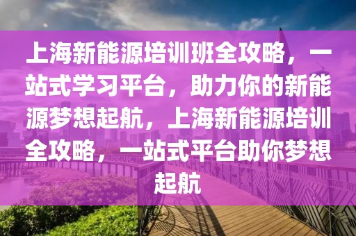 上海新能源培训班全攻略，一站式学习平台，助力你的新能源梦想起航，上海新能源培训全攻略，一站式平台助你梦想起航