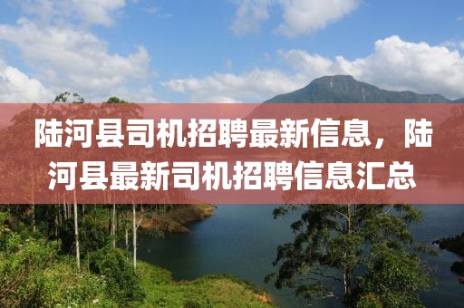 陆河县司机招聘最新信息，陆河县最新司机招聘信息汇总