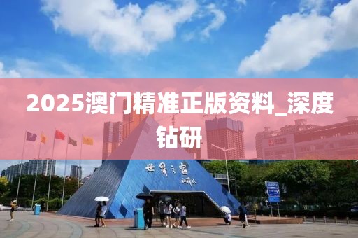 2025澳门精准正版资料_深度钻研