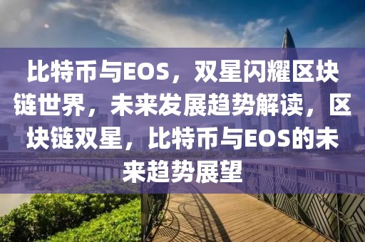 比特币与EOS，双星闪耀区块链世界，未来发展趋势解读，区块链双星，比特币与EOS的未来趋势展望