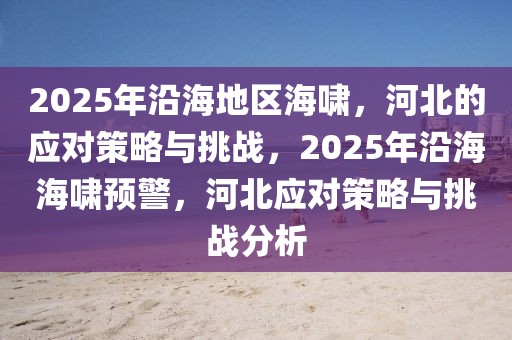 2025年沿海地区海啸，河北的应对策略与挑战，2025年沿海海啸预警，河北应对策略与挑战分析