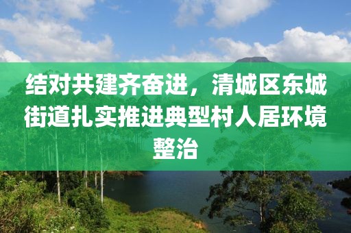 结对共建齐奋进，清城区东城街道扎实推进典型村人居环境整治