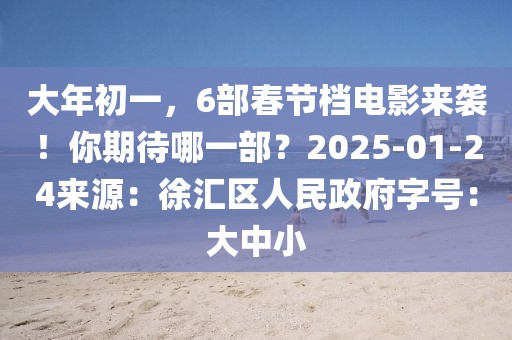 大年初一，6部春节档电影来袭！你期待哪一部？2025-01-24来源：徐汇区人民政府字号：大中小