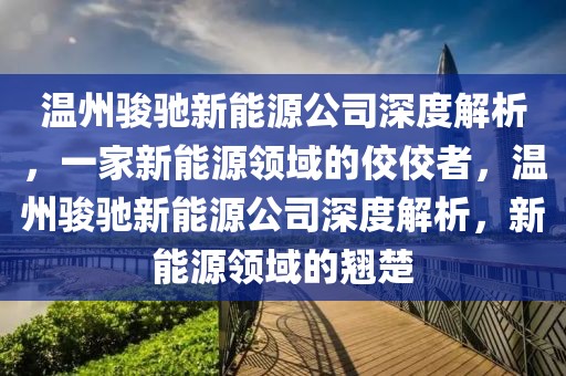 温州骏驰新能源公司深度解析，一家新能源领域的佼佼者，温州骏驰新能源公司深度解析，新能源领域的翘楚