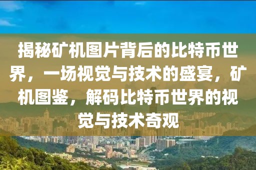 揭秘矿机图片背后的比特币世界，一场视觉与技术的盛宴，矿机图鉴，解码比特币世界的视觉与技术奇观