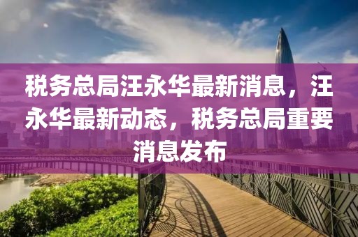 税务总局汪永华最新消息，汪永华最新动态，税务总局重要消息发布