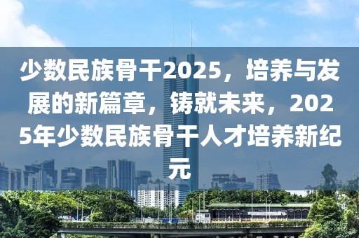 少数民族骨干2025，培养与发展的新篇章，铸就未来，2025年少数民族骨干人才培养新纪元