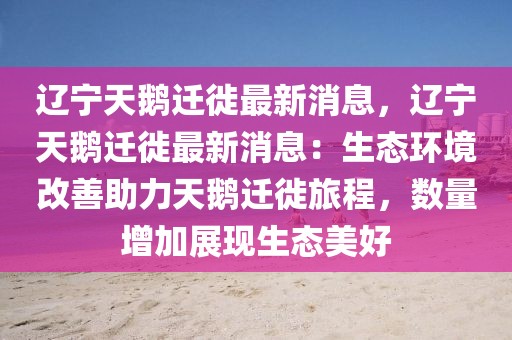 辽宁天鹅迁徙最新消息，辽宁天鹅迁徙最新消息：生态环境改善助力天鹅迁徙旅程，数量增加展现生态美好