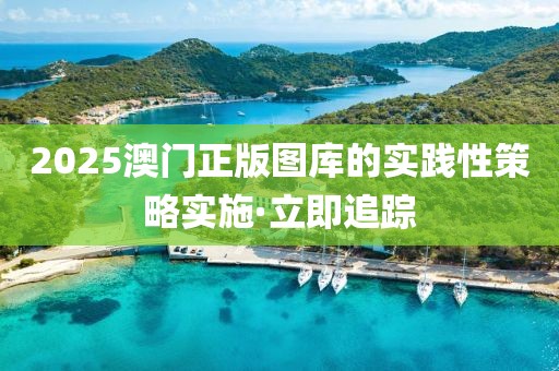 2025澳门正版图库的实践性策略实施·立即追踪