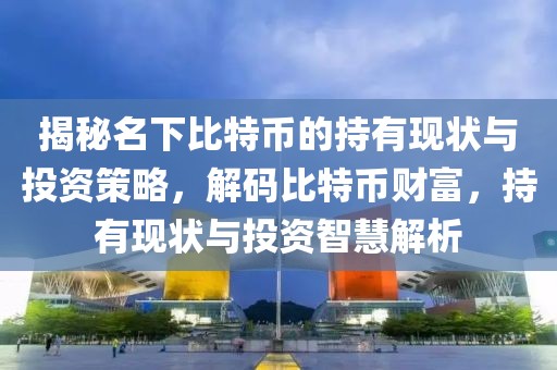 揭秘名下比特币的持有现状与投资策略，解码比特币财富，持有现状与投资智慧解析