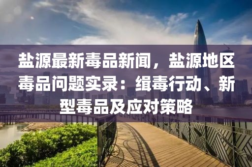 盐源最新毒品新闻，盐源地区毒品问题实录：缉毒行动、新型毒品及应对策略