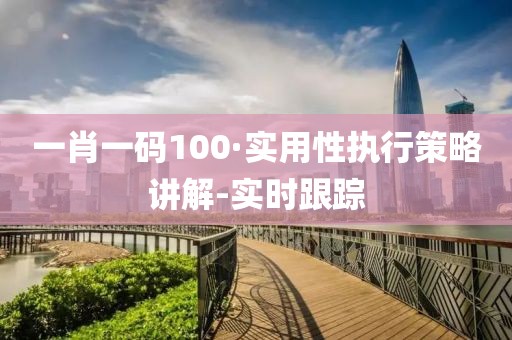 一肖一码100·实用性执行策略讲解-实时跟踪