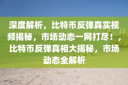 重庆大学考研最新信息网，重庆大学考研最新信息及备考指南概览