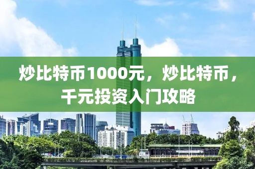 炒比特币1000元，炒比特币，千元投资入门攻略