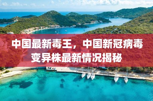 中国最新毒王，中国新冠病毒变异株最新情况揭秘