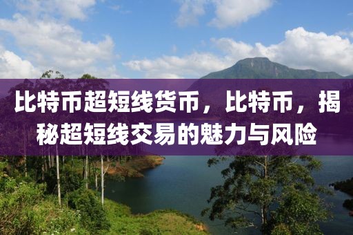 比特币超短线货币，比特币，揭秘超短线交易的魅力与风险