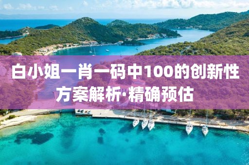 白小姐一肖一码中100的创新性方案解析·精确预估