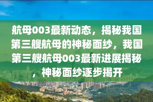 中垌最新闻，中垌最新新闻报道与热点事件深度解析