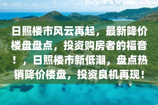 日照楼市风云再起，最新降价楼盘盘点，投资购房者的福音！，日照楼市新低潮，盘点热销降价楼盘，投资良机再现！