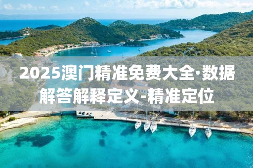 2025澳门精准免费大全·数据解答解释定义-精准定位