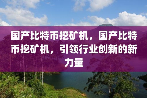 国产比特币挖矿机，国产比特币挖矿机，引领行业创新的新力量