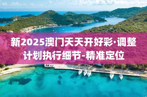 新2025澳门天天开好彩·调整计划执行细节-精准定位