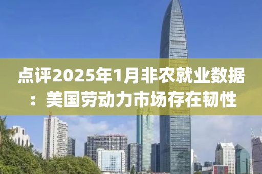 点评2025年1月非农就业数据：美国劳动力市场存在韧性